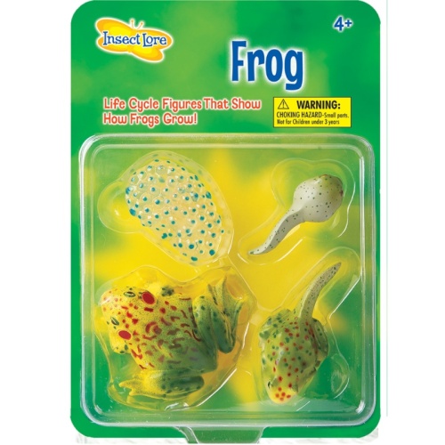 Insect Lore Life Cycle Figurines - Frog
